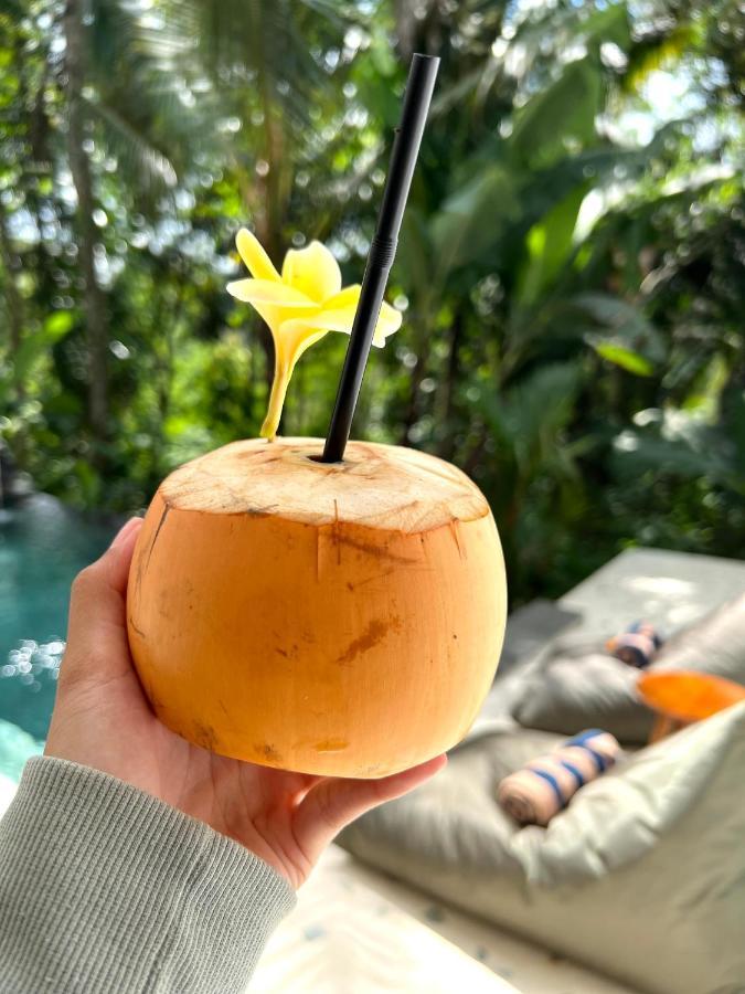 Nirankara Ubud Villa Ngoại thất bức ảnh